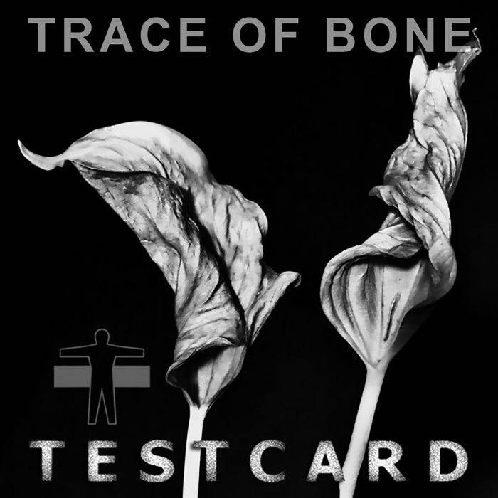 Trace of bone